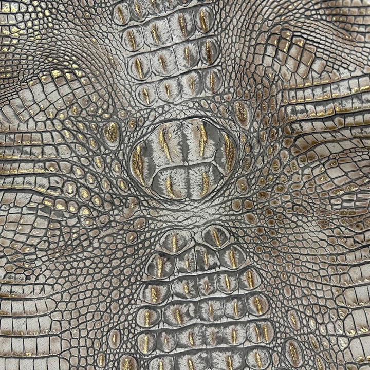Gator