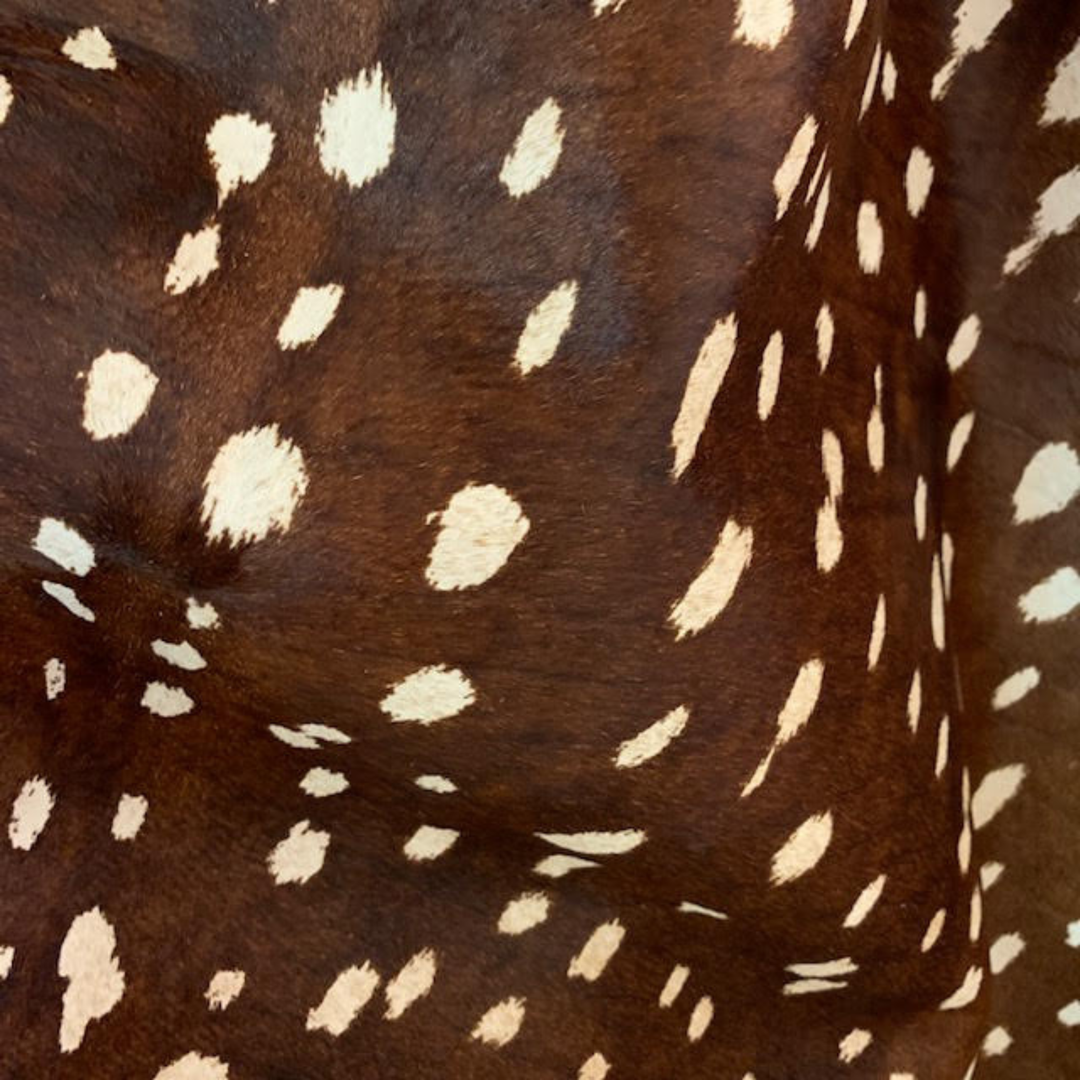 Axis Deer Print
