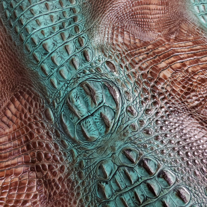 Crocodile
