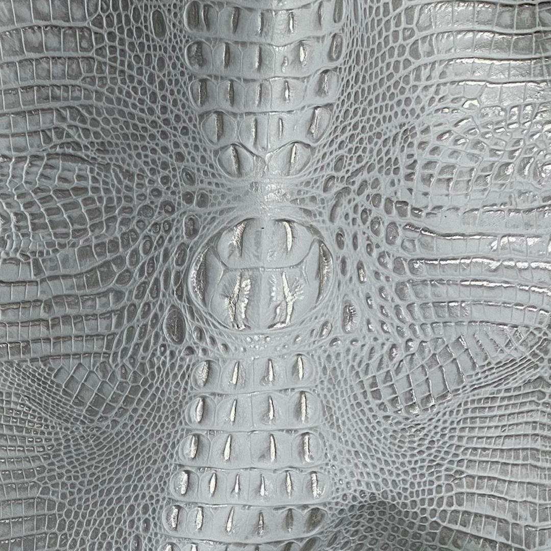 Crocodile
