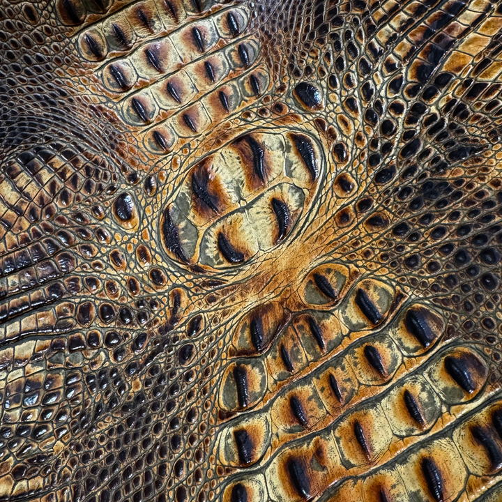 Crocodile