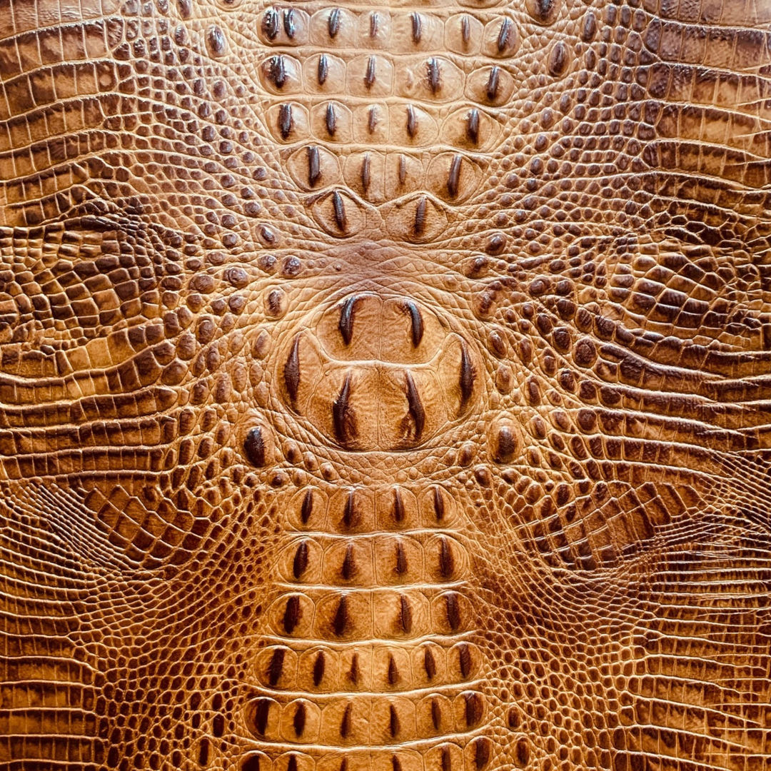 Crocodile