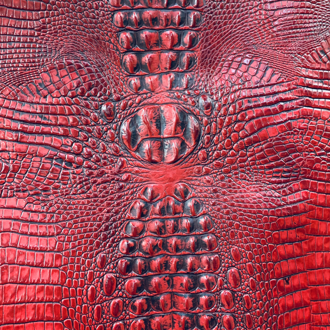 Crocodile
