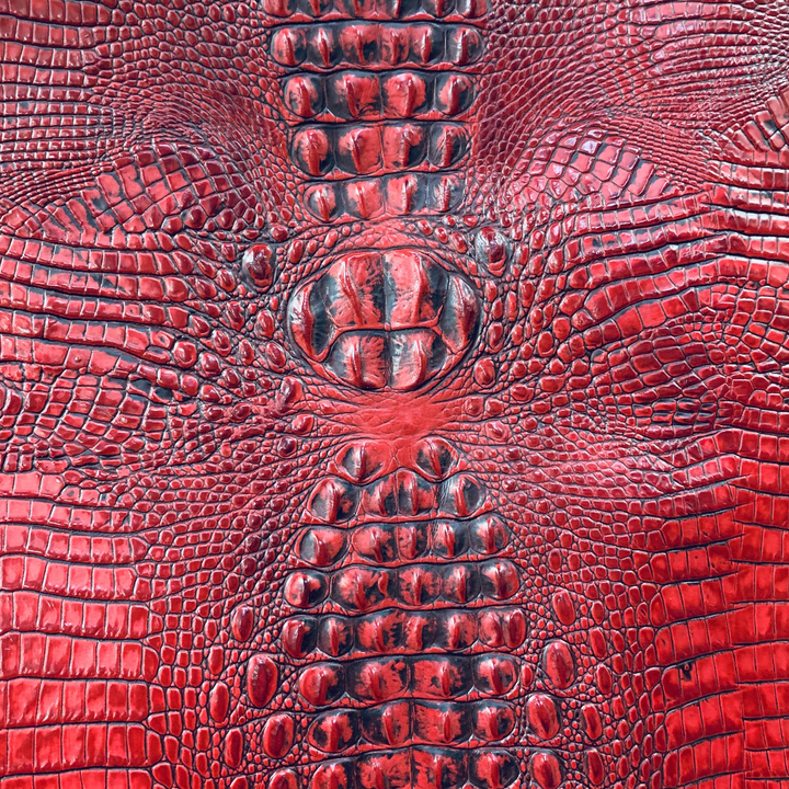 Crocodile