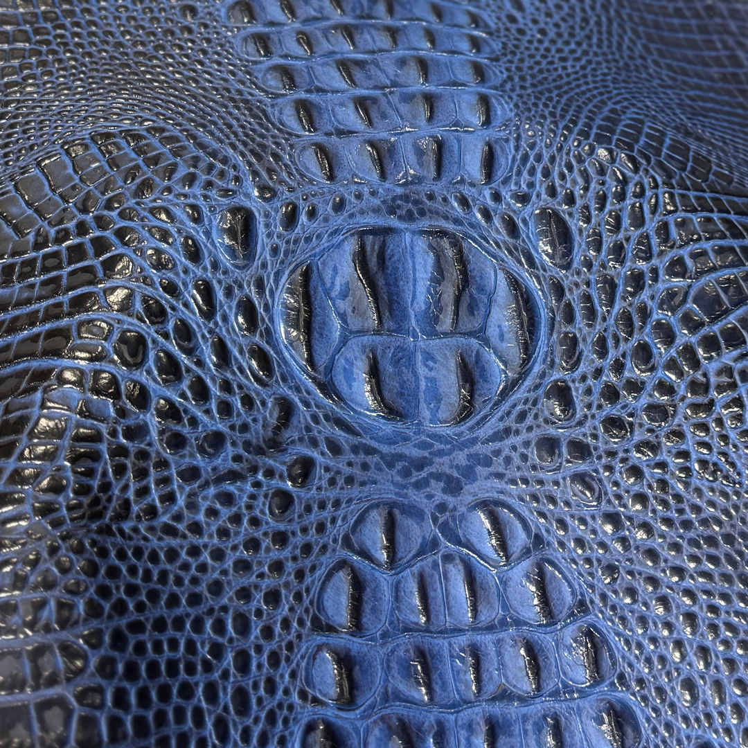 Crocodile