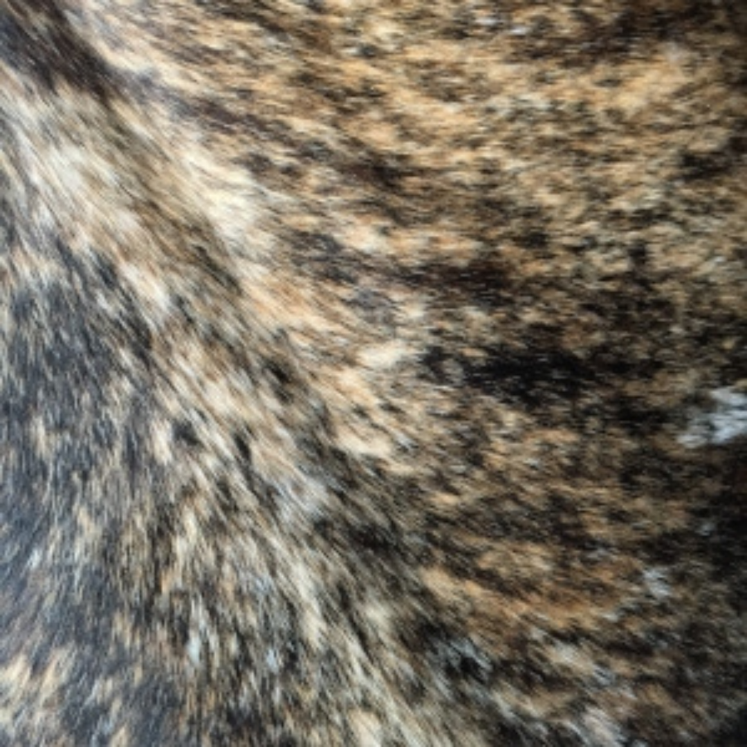 Brindle