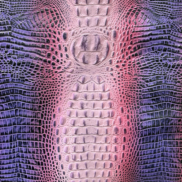 Crocodile