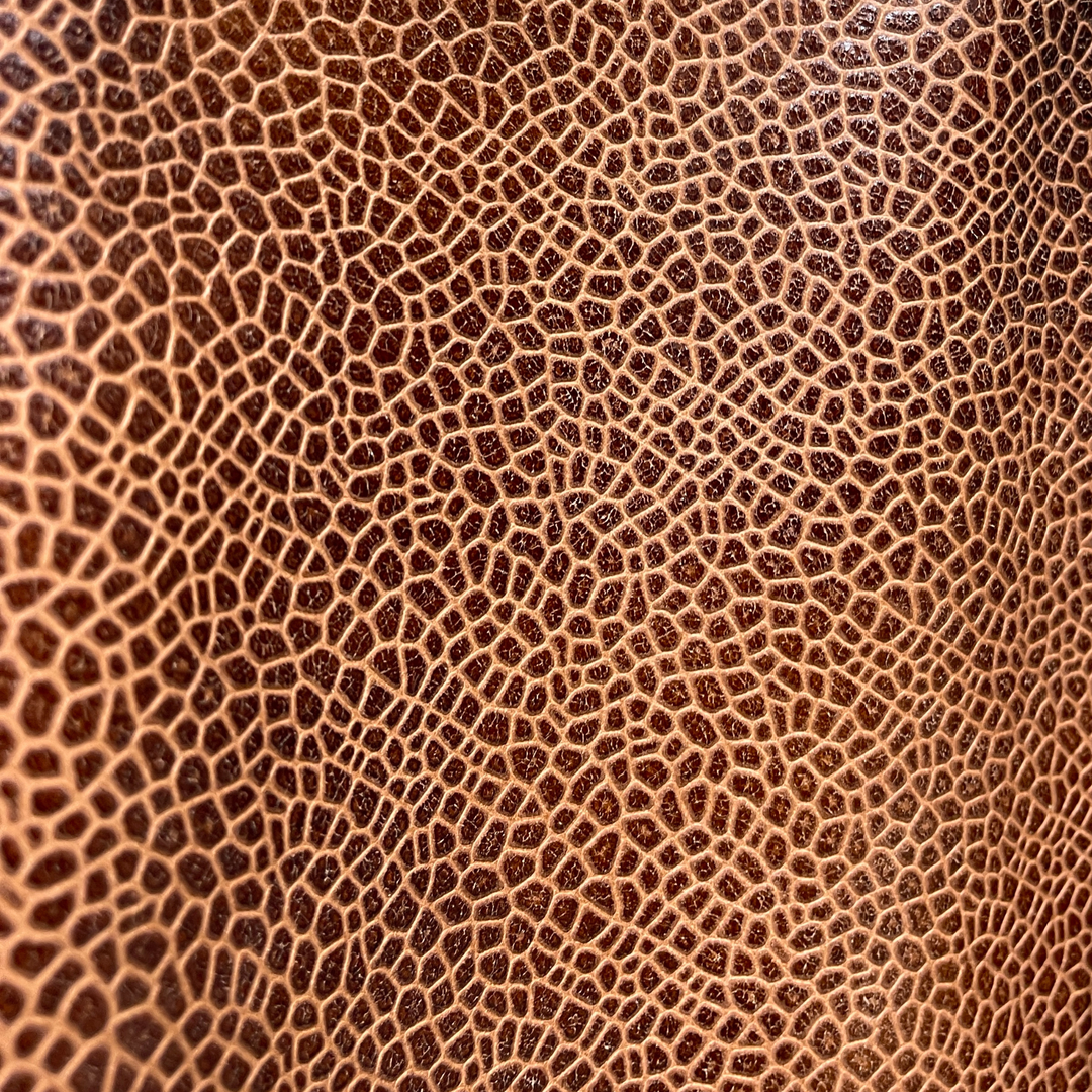 Marrakesh Collection