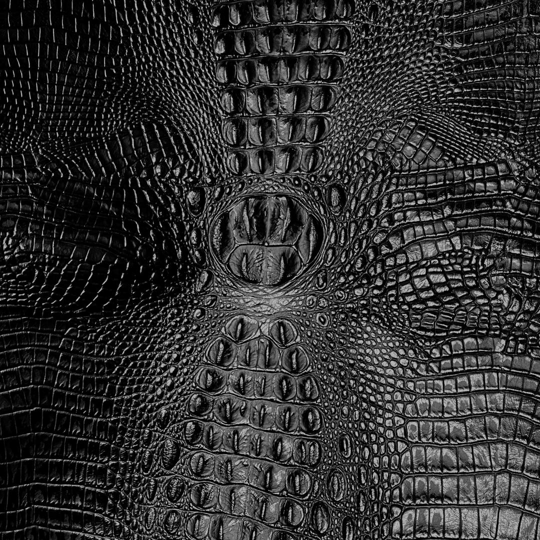 Crocodile