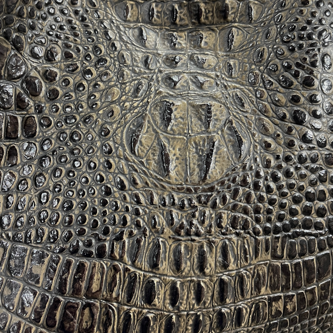 Crocodile