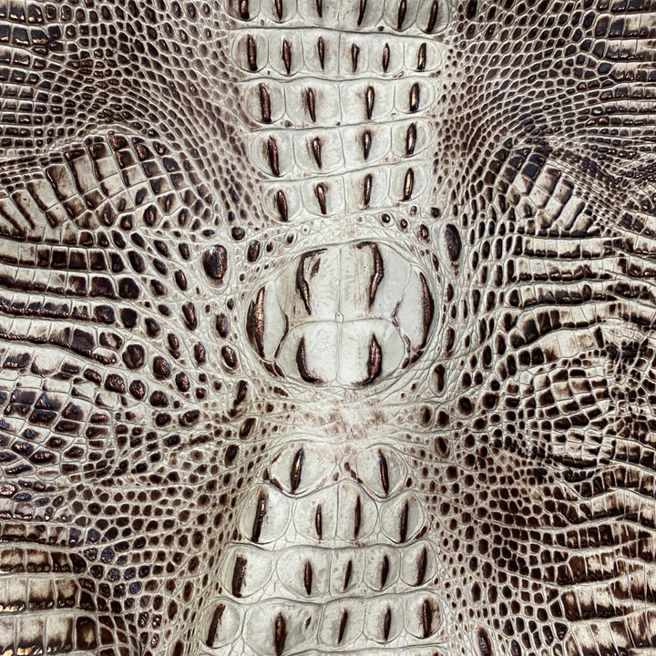 Crocodile
