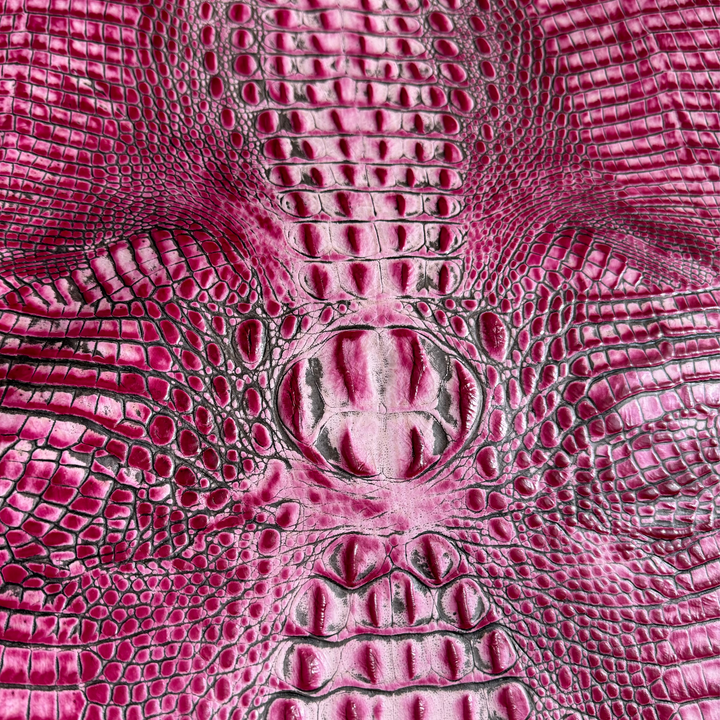 Crocodile