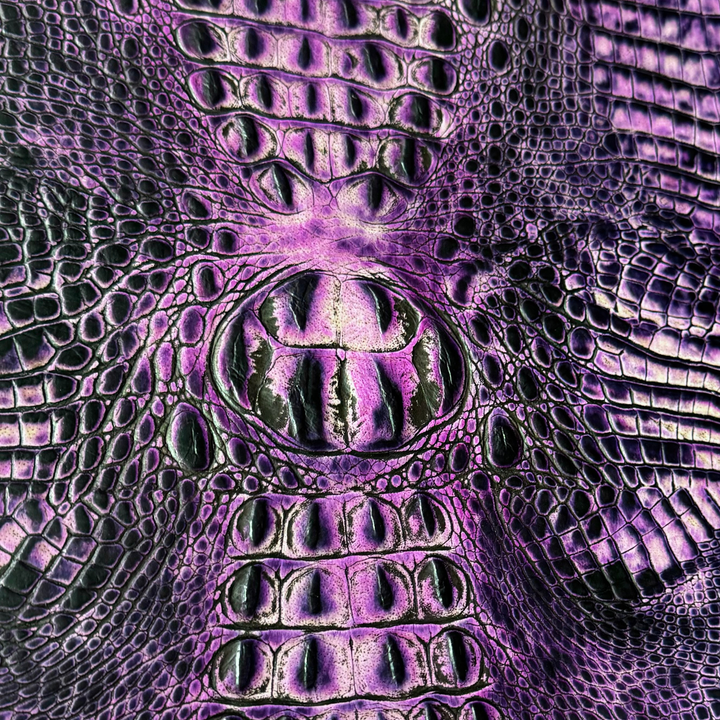 Crocodile