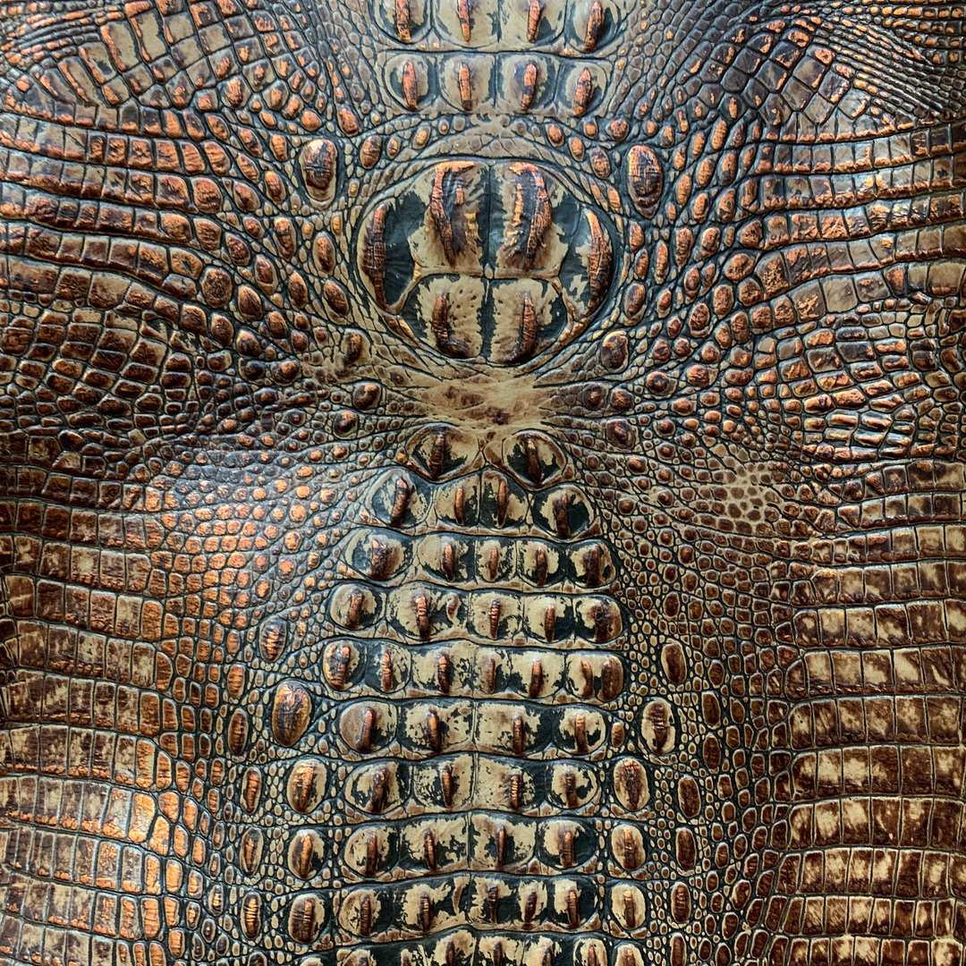 Crocodile