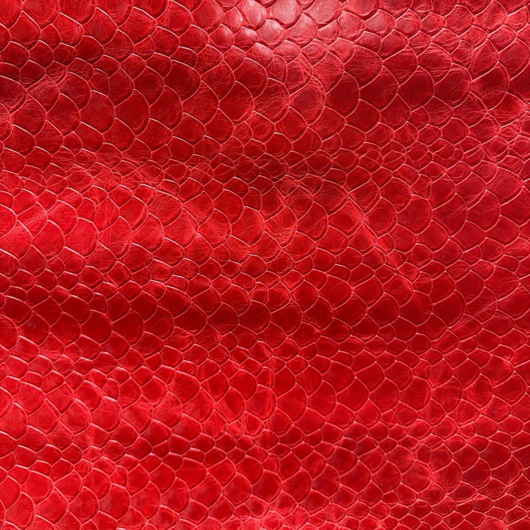Scales Collection