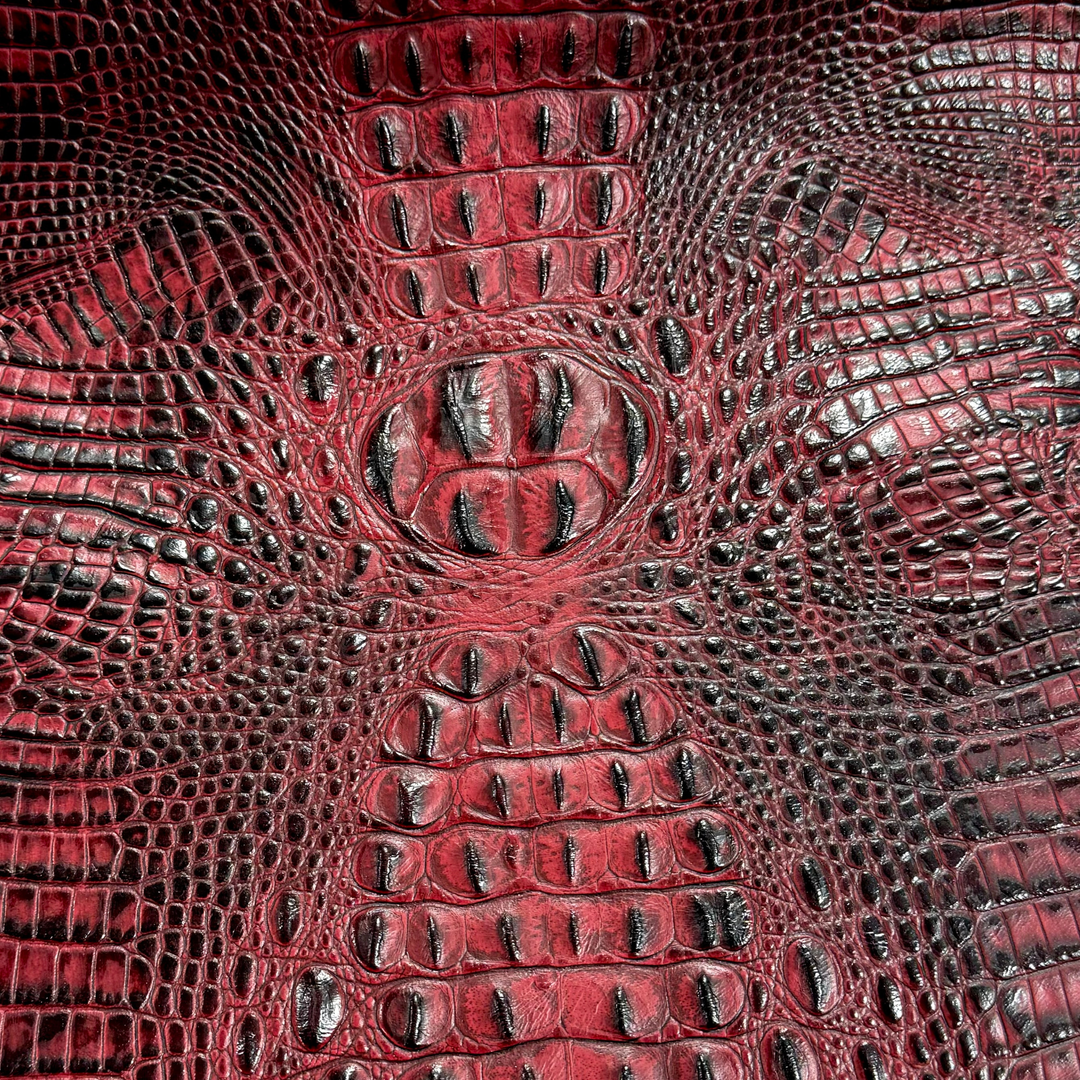 Crocodile