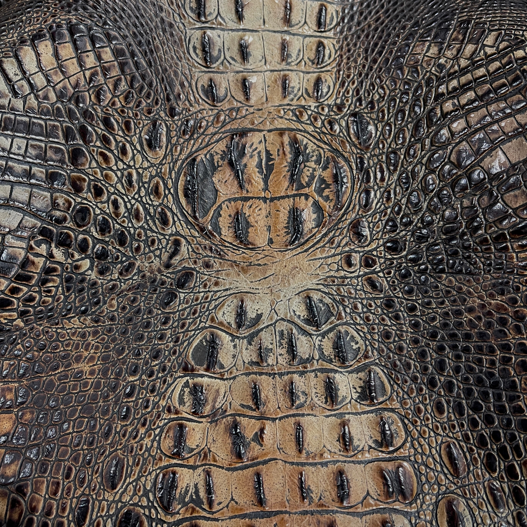 Crocodile