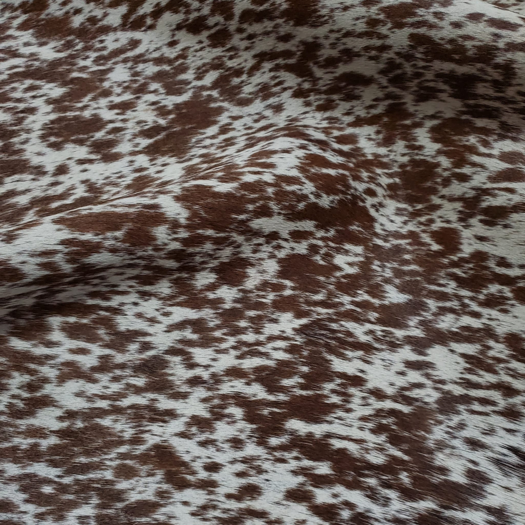 Longhorn