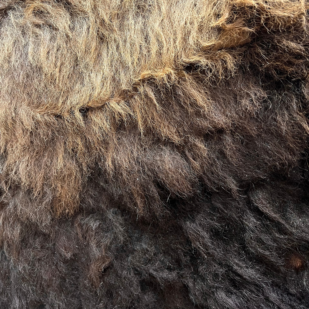 Buffalo Hides