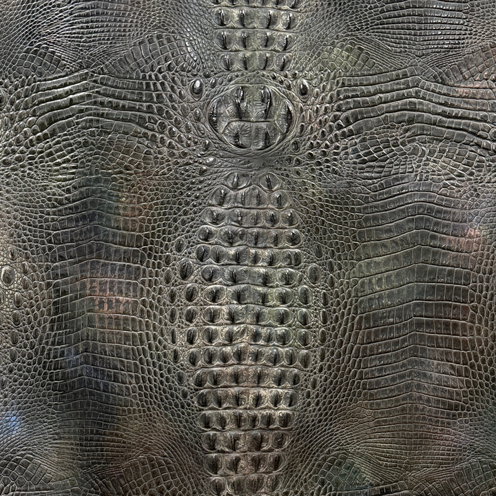 Crocodile Bayou