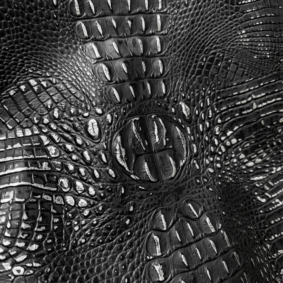 Crocodile