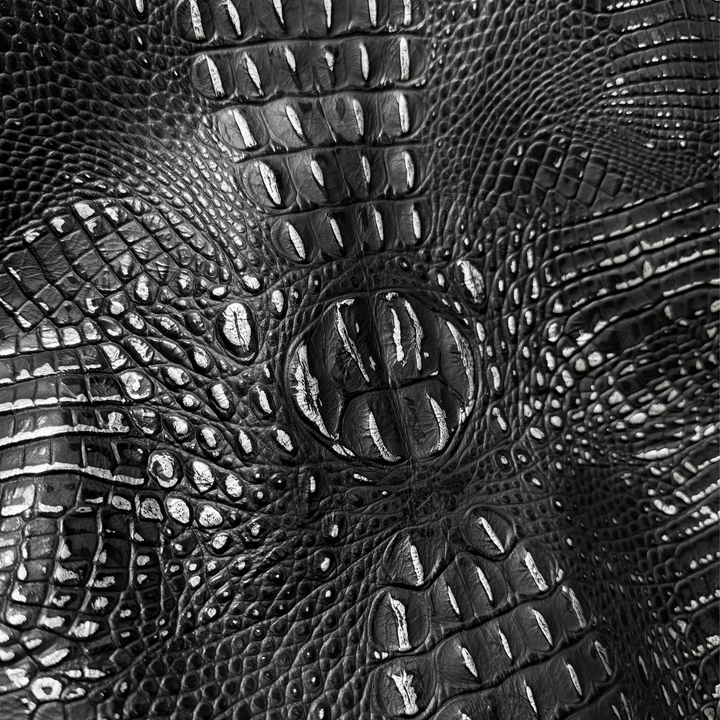 Crocodile