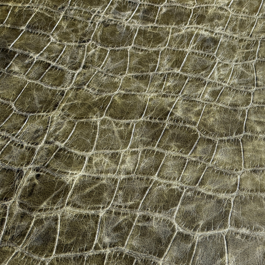 Jumbo Croc