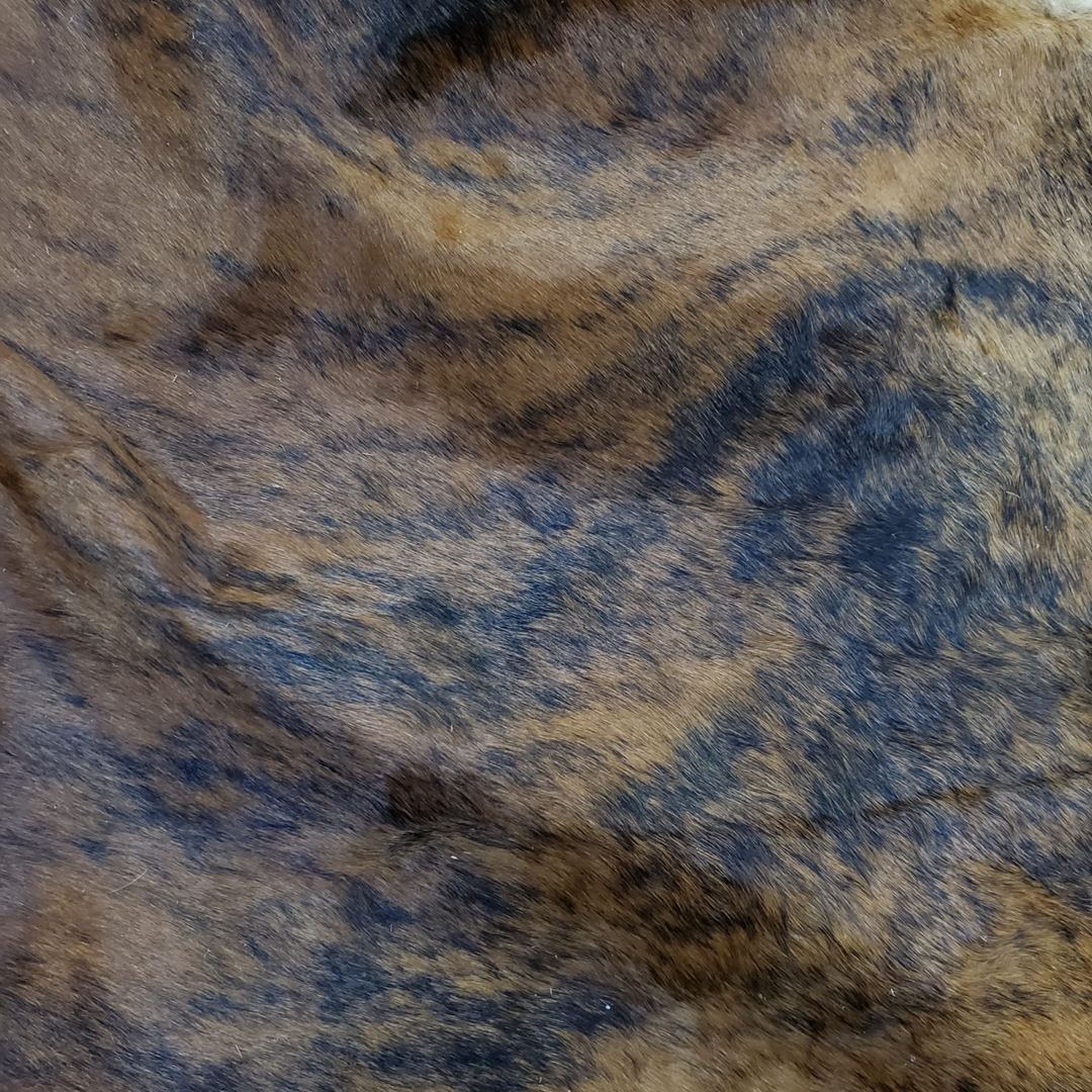 Brindle