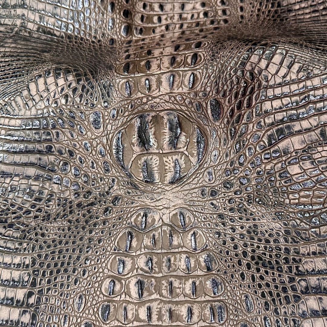 Crocodile