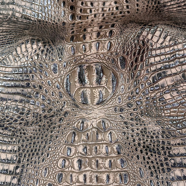 Crocodile