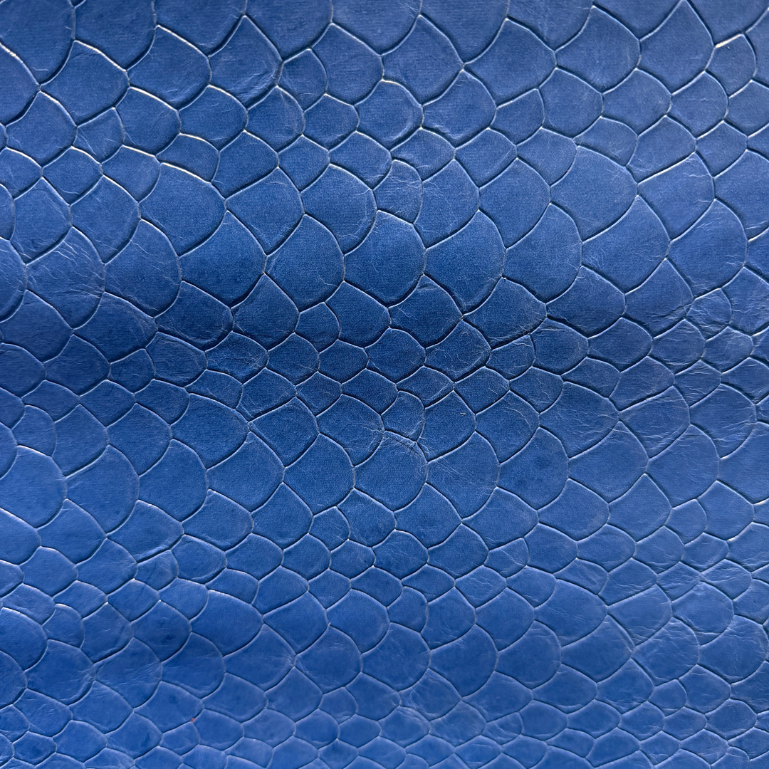 Scales Collection