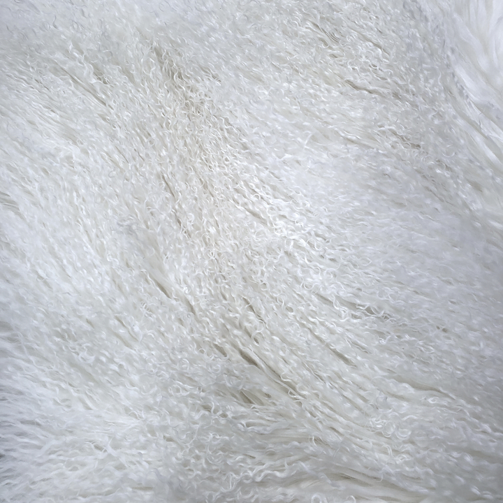 Tibetan Lamb