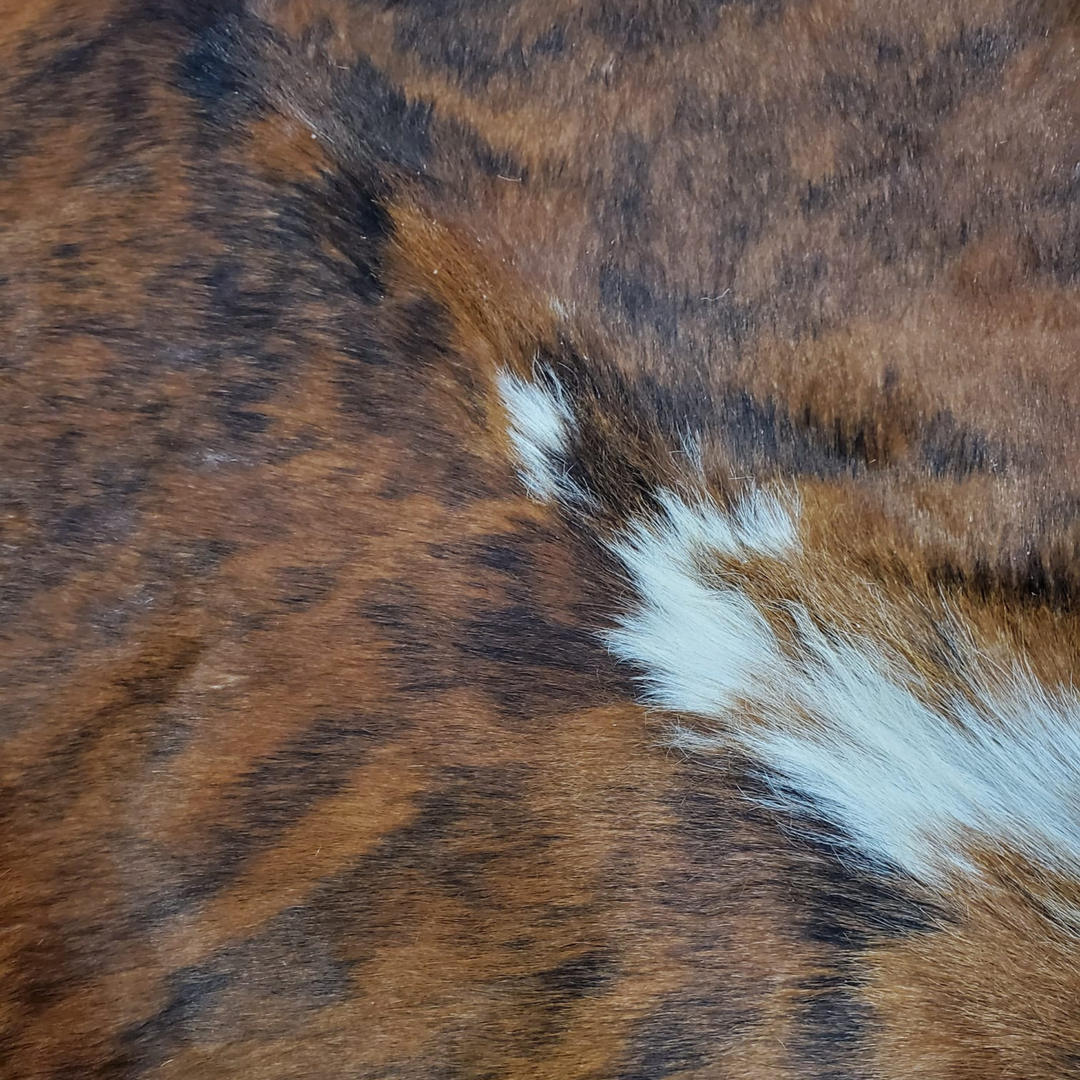 Brindle
