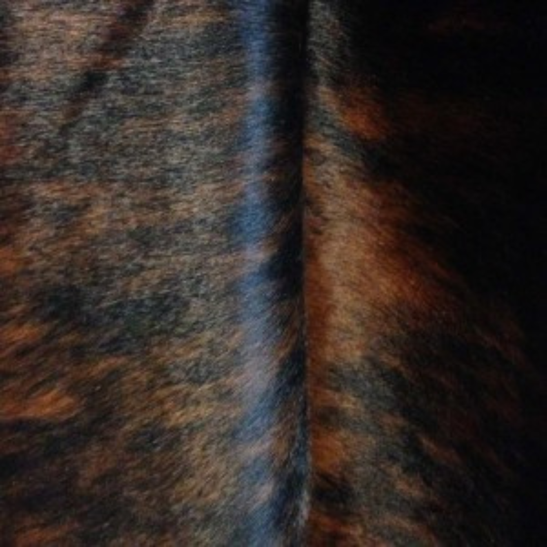 Brindle