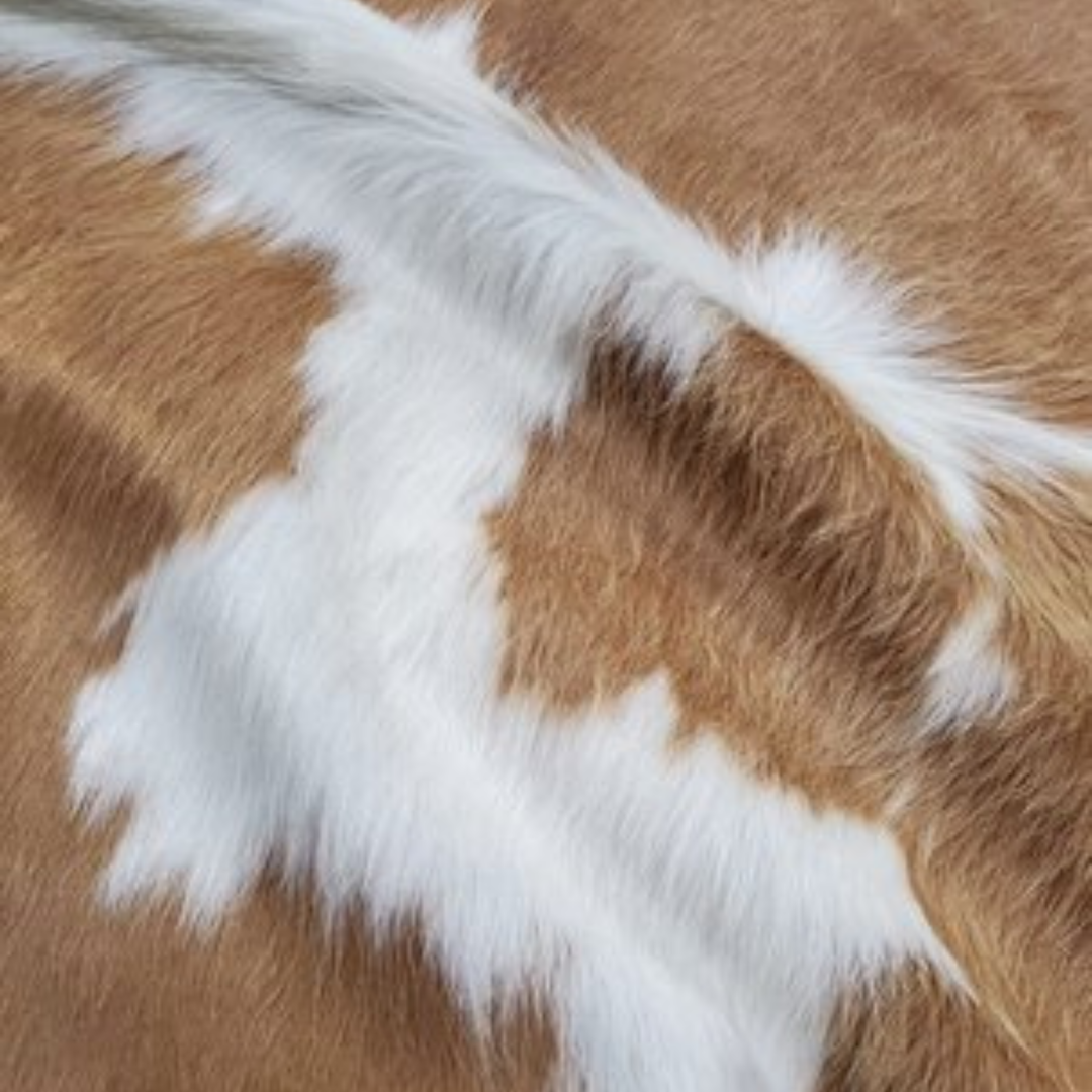 Color &amp; White