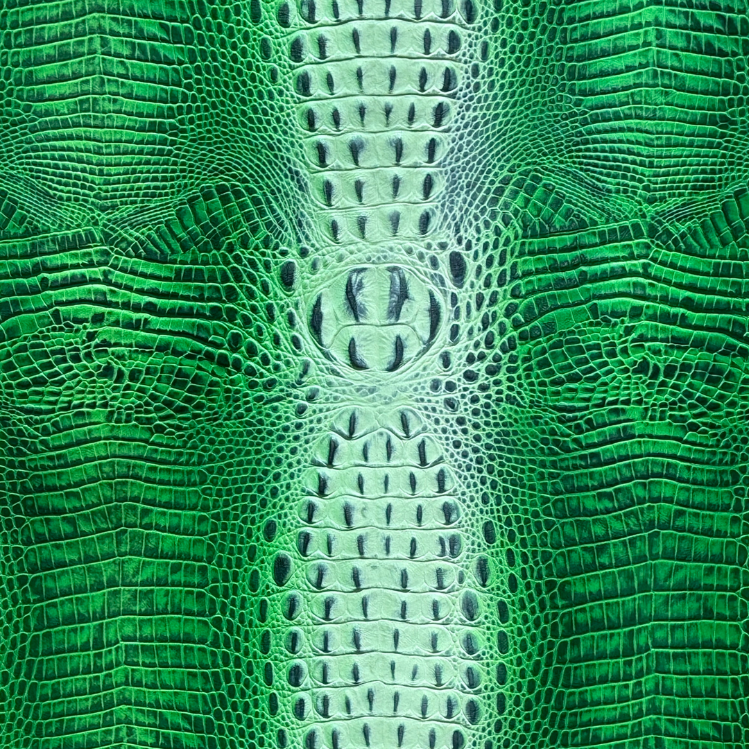Crocodile