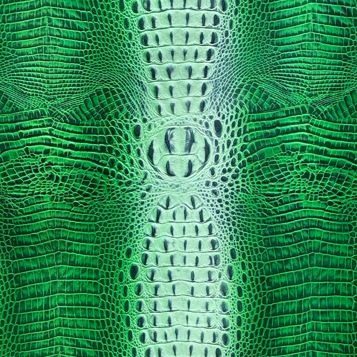 Crocodile