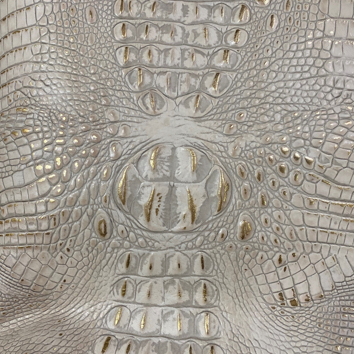 Crocodile