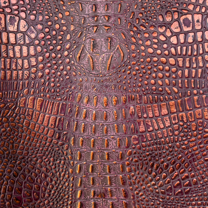 Gator
