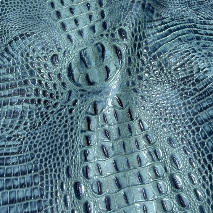 Hornback Aqua