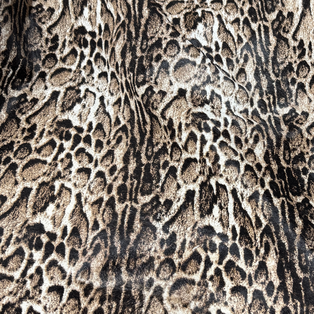 Snow Leopard